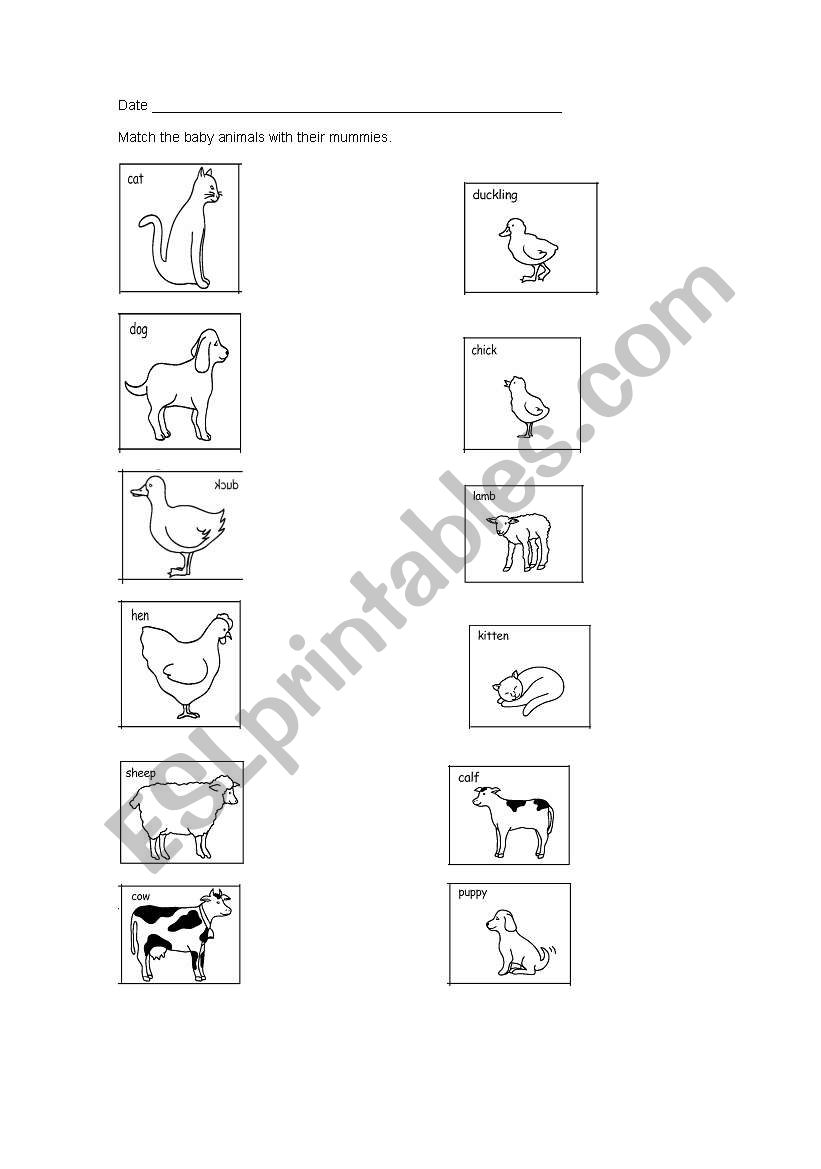 English worksheets: animal´s babies matching activity