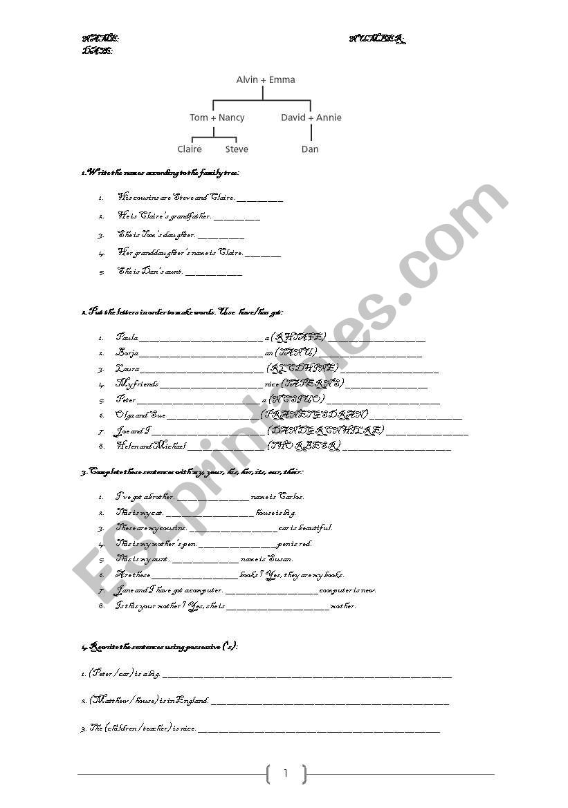 EXAM: HOME AND FAMILY. HAVE GOT AND POSSESSIVE