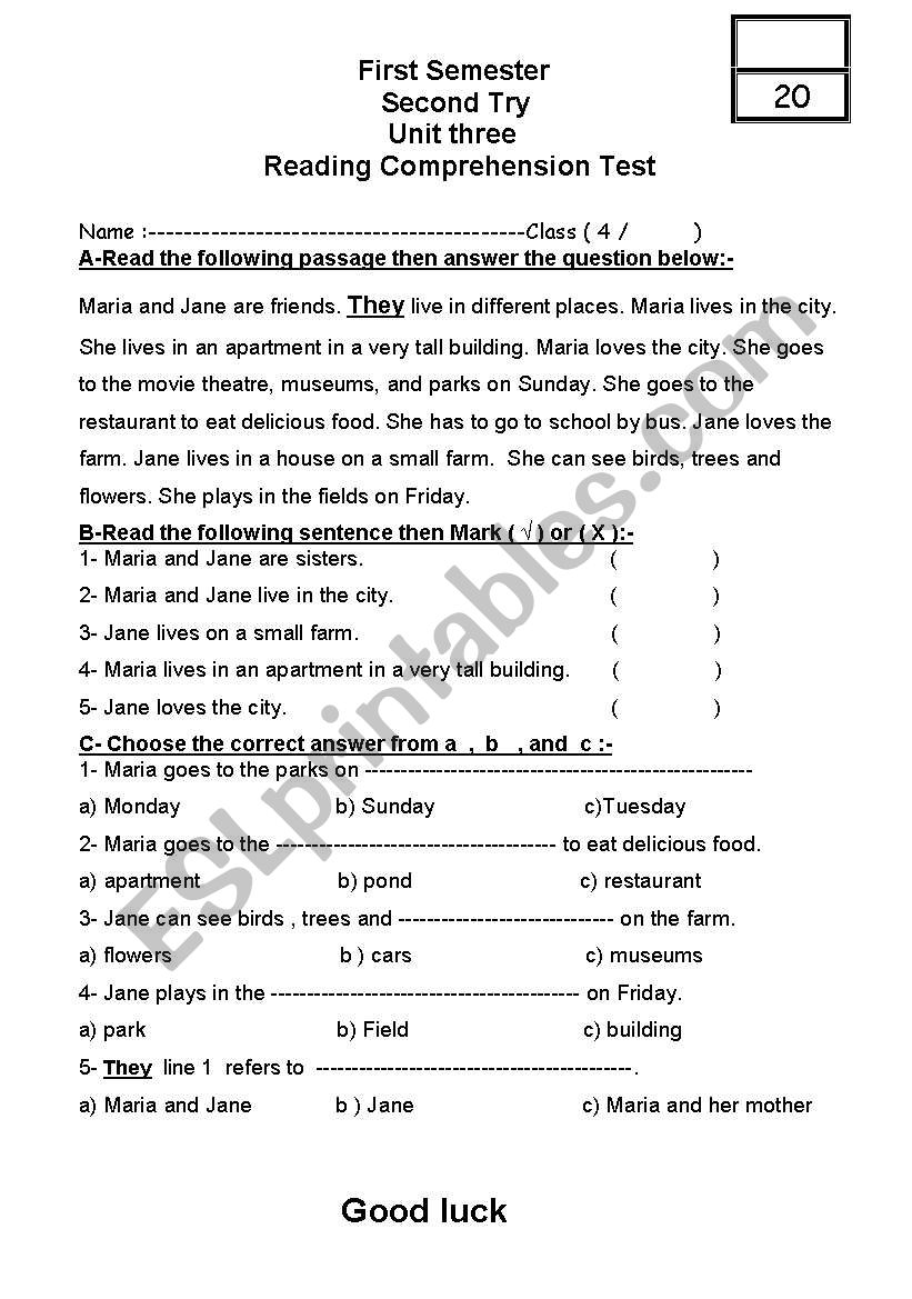 Reading Comprehension Test worksheet
