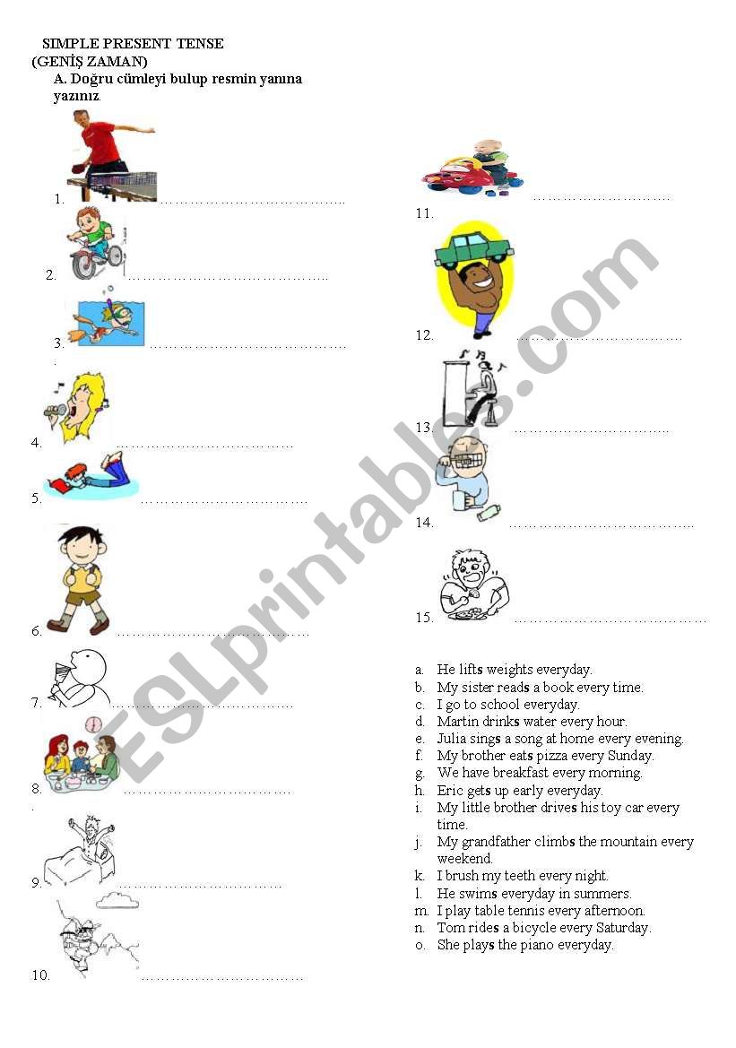 simple present tense  worksheet