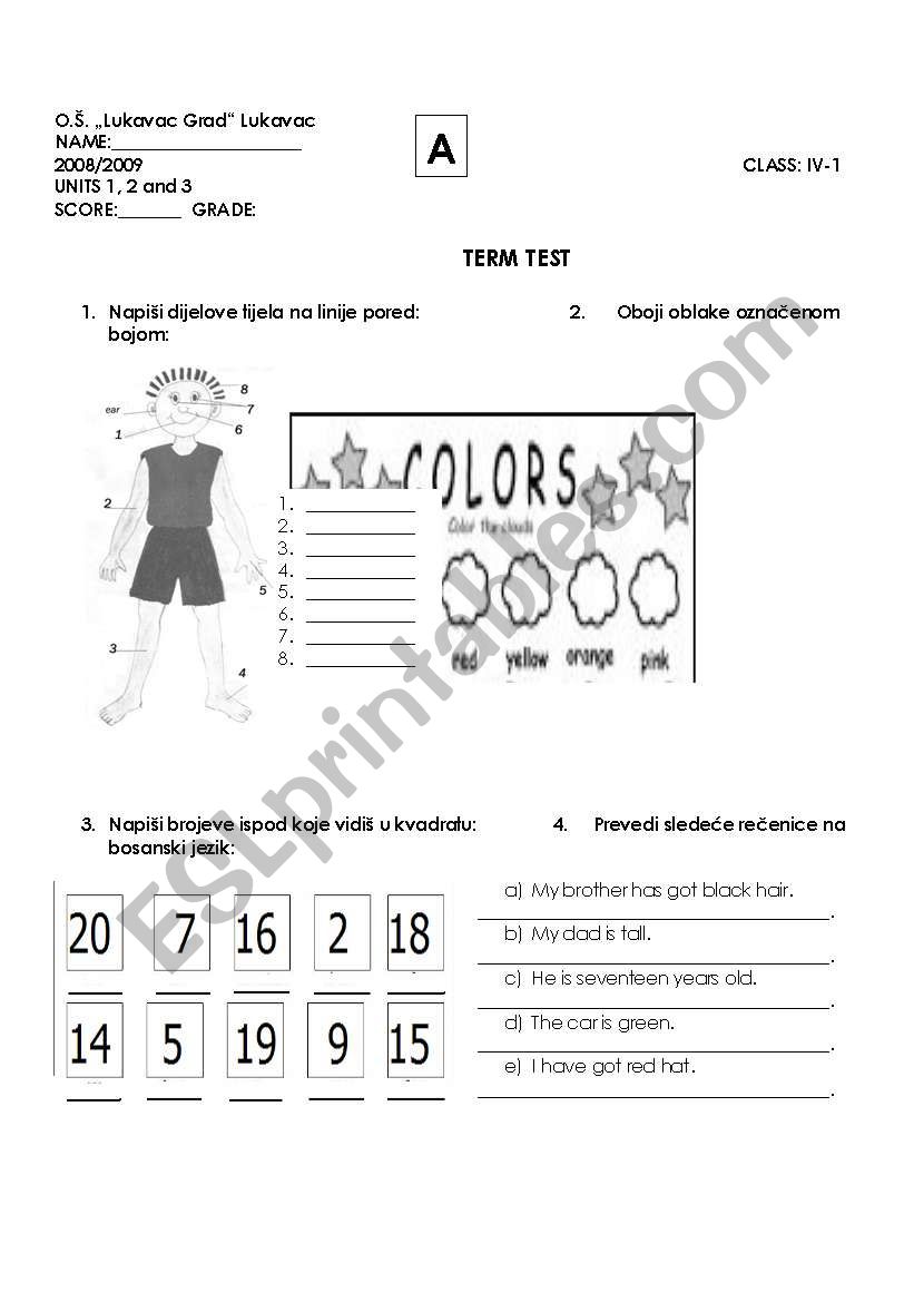 test IV elementary worksheet