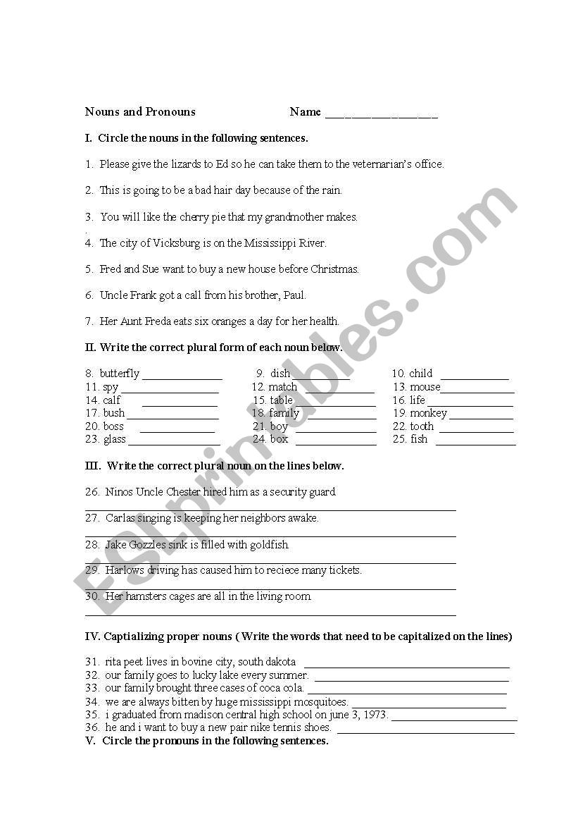 nouns and pronouns worksheet