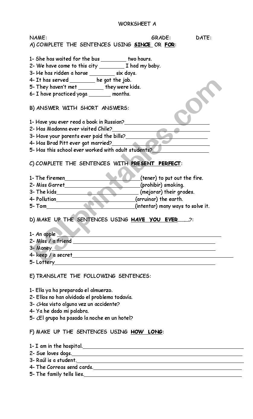 present perfect worksheet