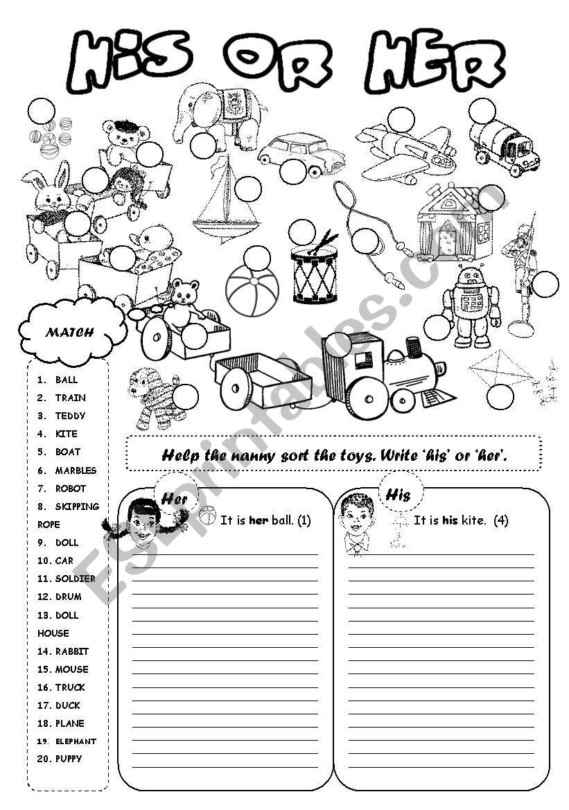 His or Her TOYS worksheet