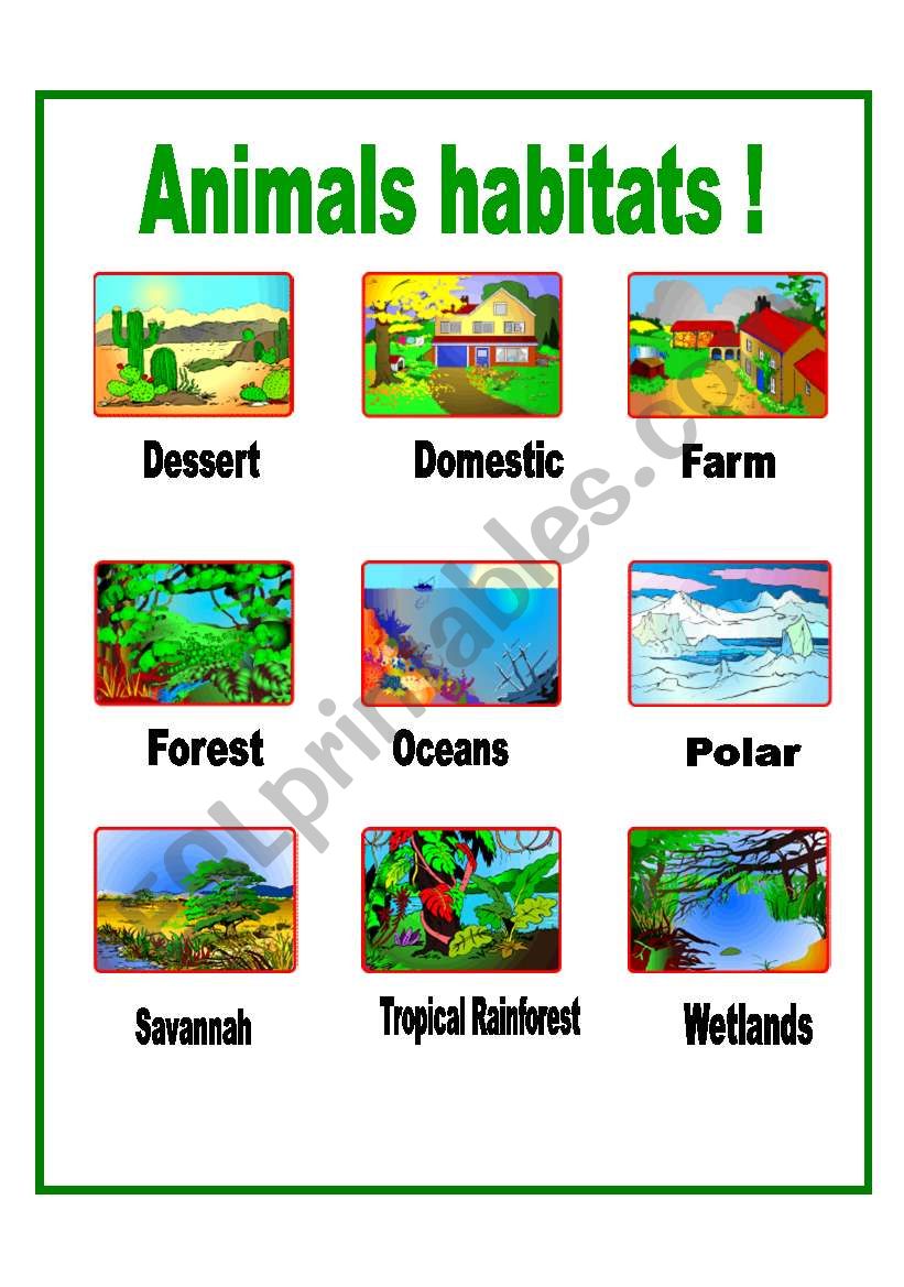 Animal Habitat Work Search Printable