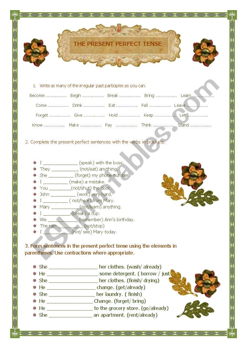 the present perfect tense worksheet