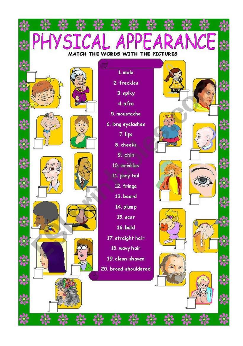 Physical Appearance ESL Worksheet By Skwarka