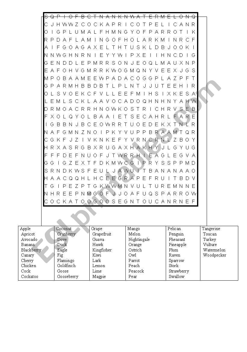 FRUITS worksheet