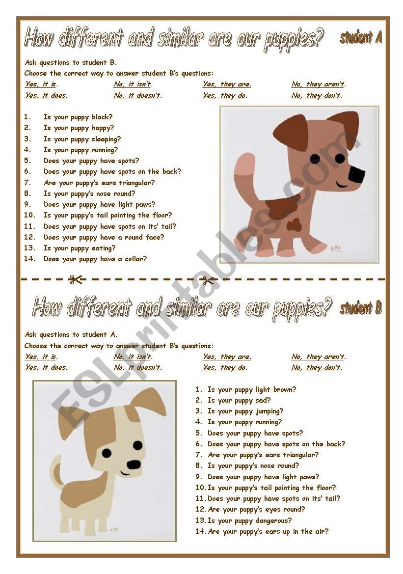 ARE OUR PUPPIES TWINS? worksheet