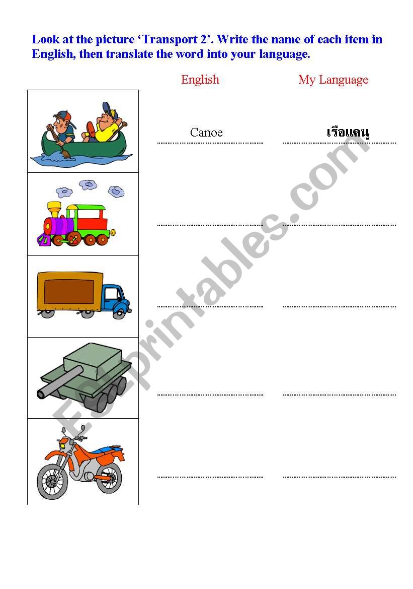 transport worksheet