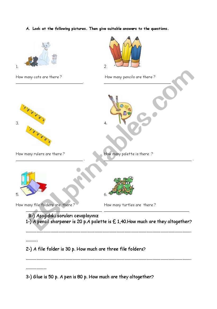 test for a beginner student worksheet