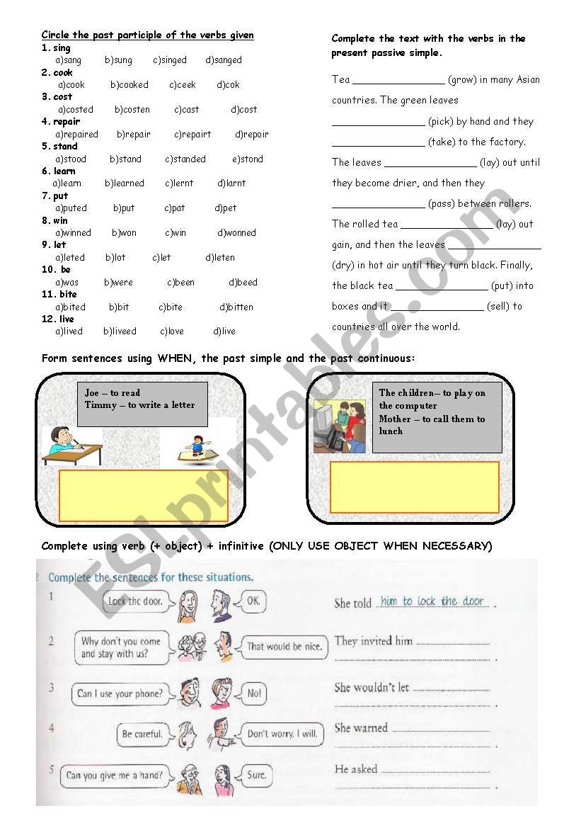 Revision Quiz worksheet