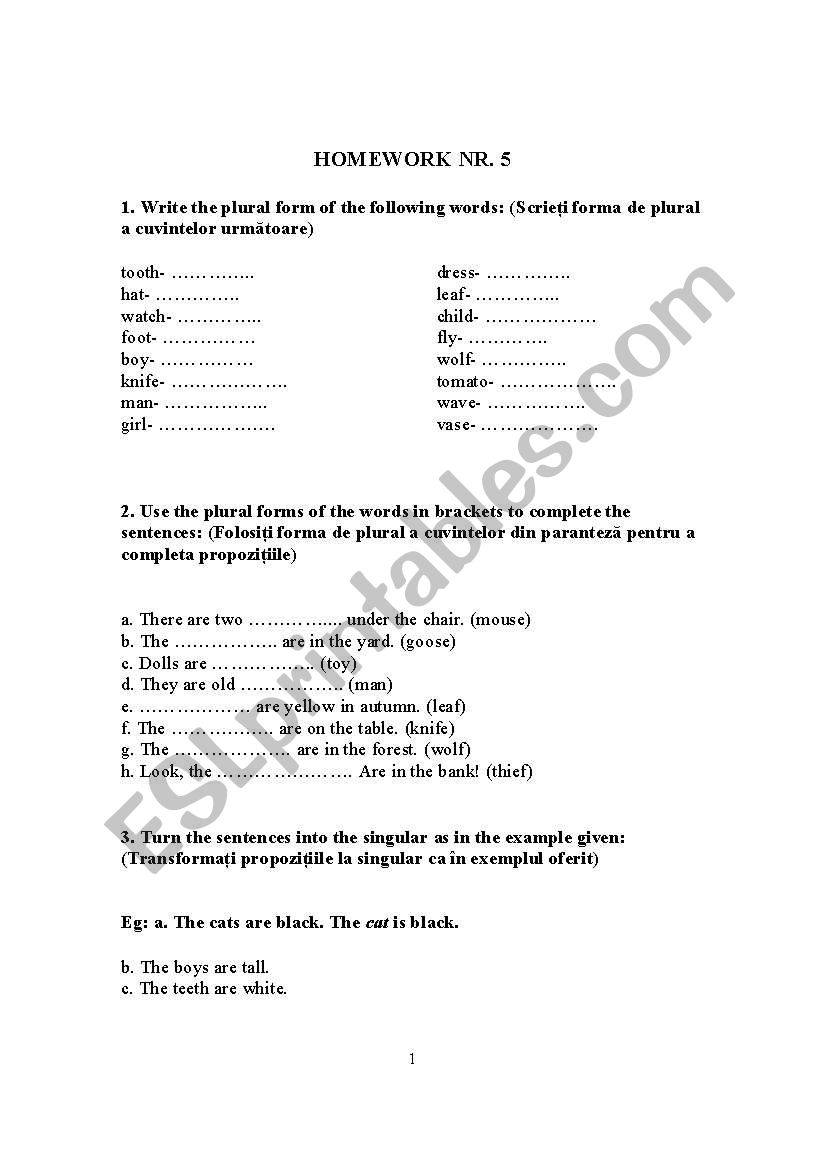 The Plural of the Nouns worksheet