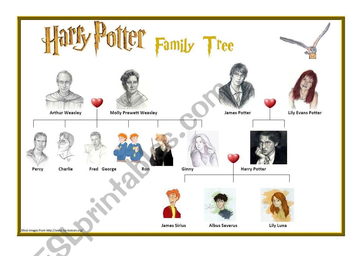 harry potters family