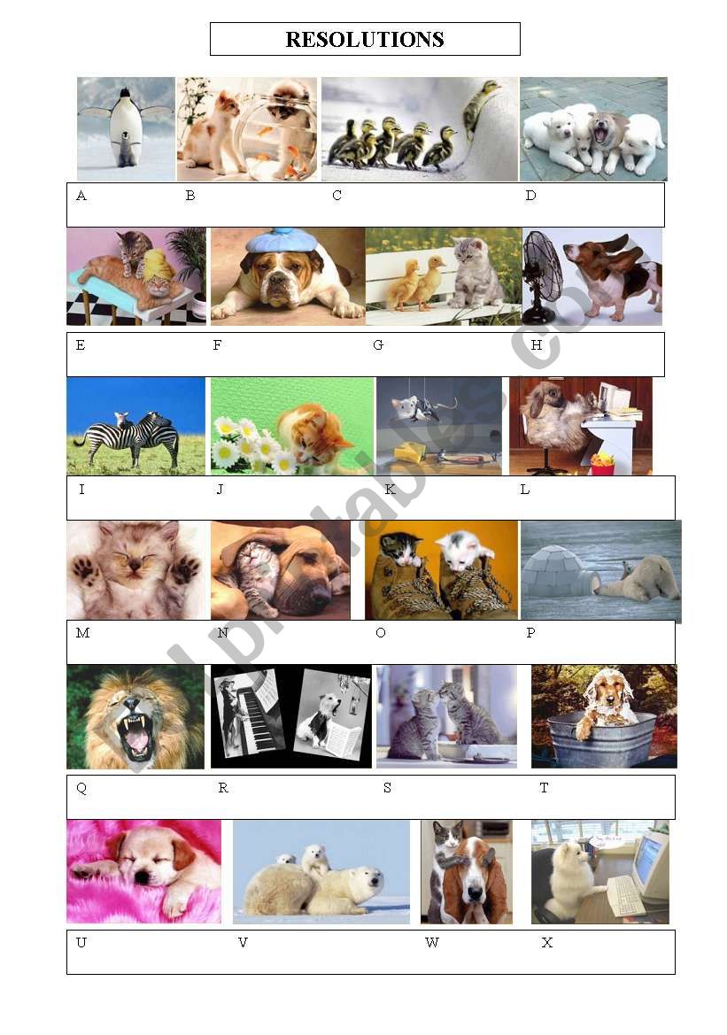 resolutions pictures worksheet