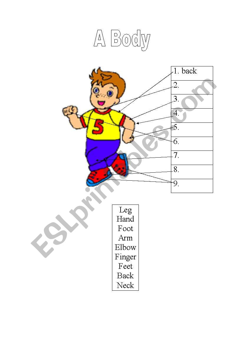 Parts of Body worksheet