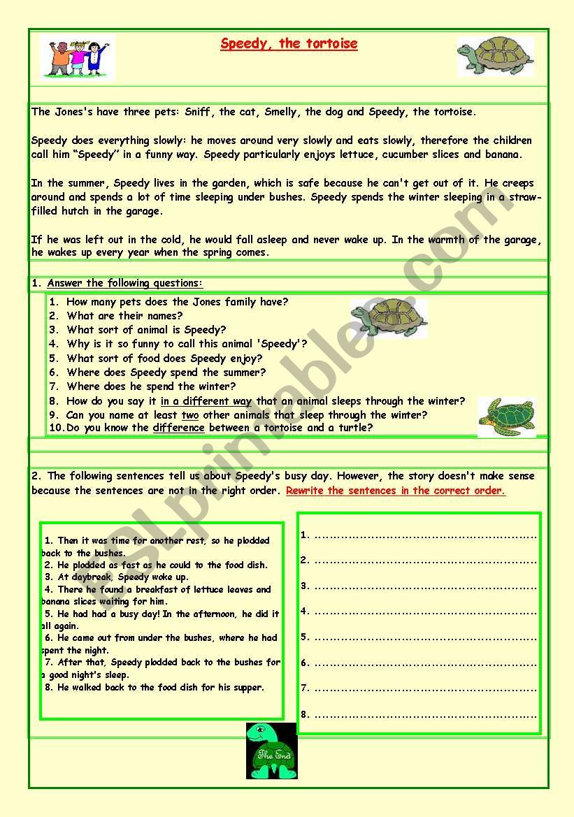 Speedy The Tortoise ESL Worksheet By Babi965