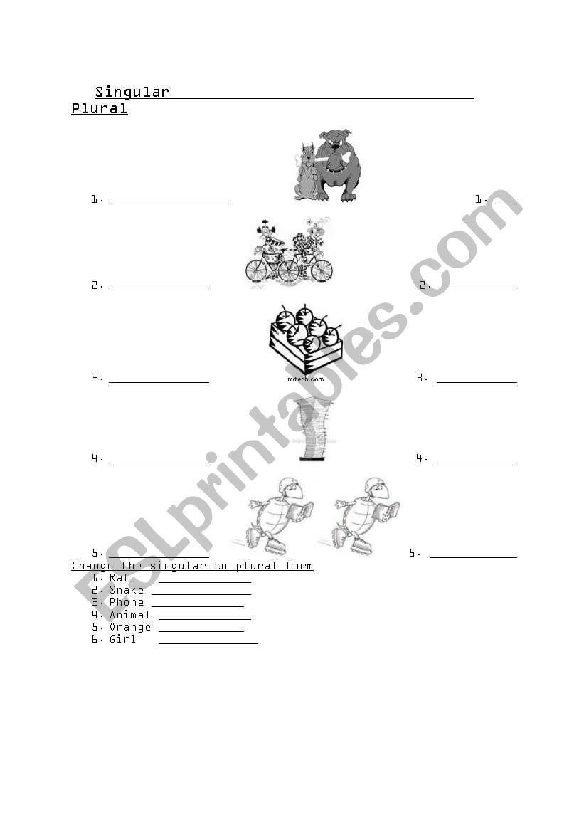 Learn simple Plural nouns worksheet