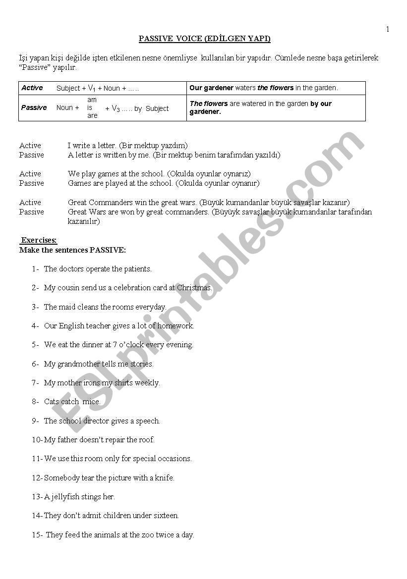 passive voice test worksheet