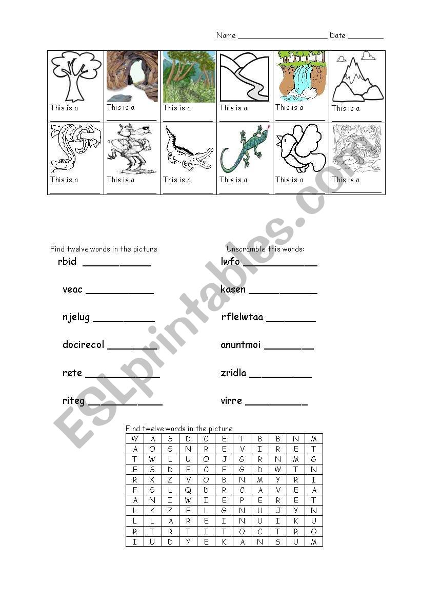 Nature worksheet