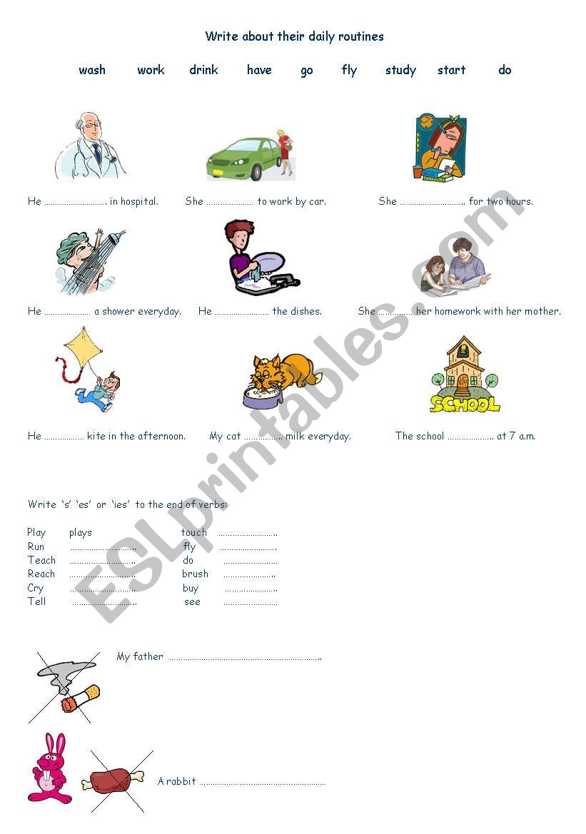 daily routines worksheet