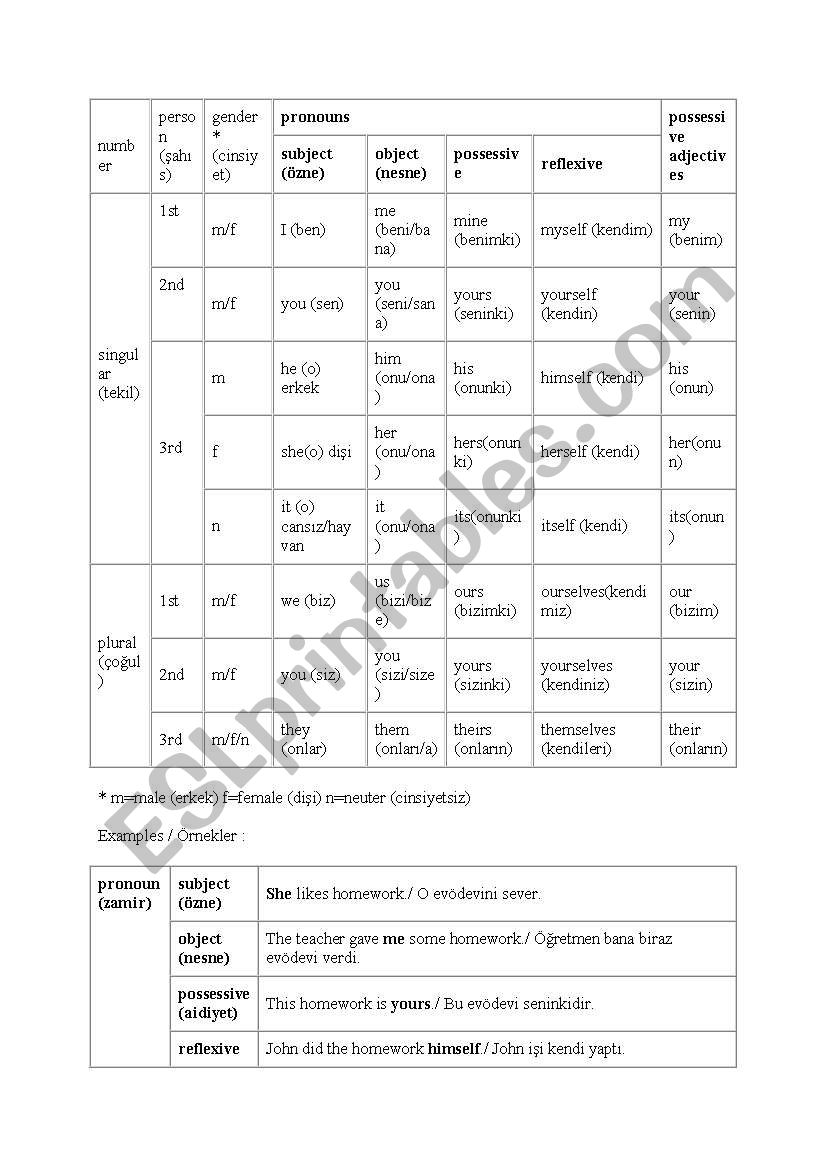 pronouns worksheet