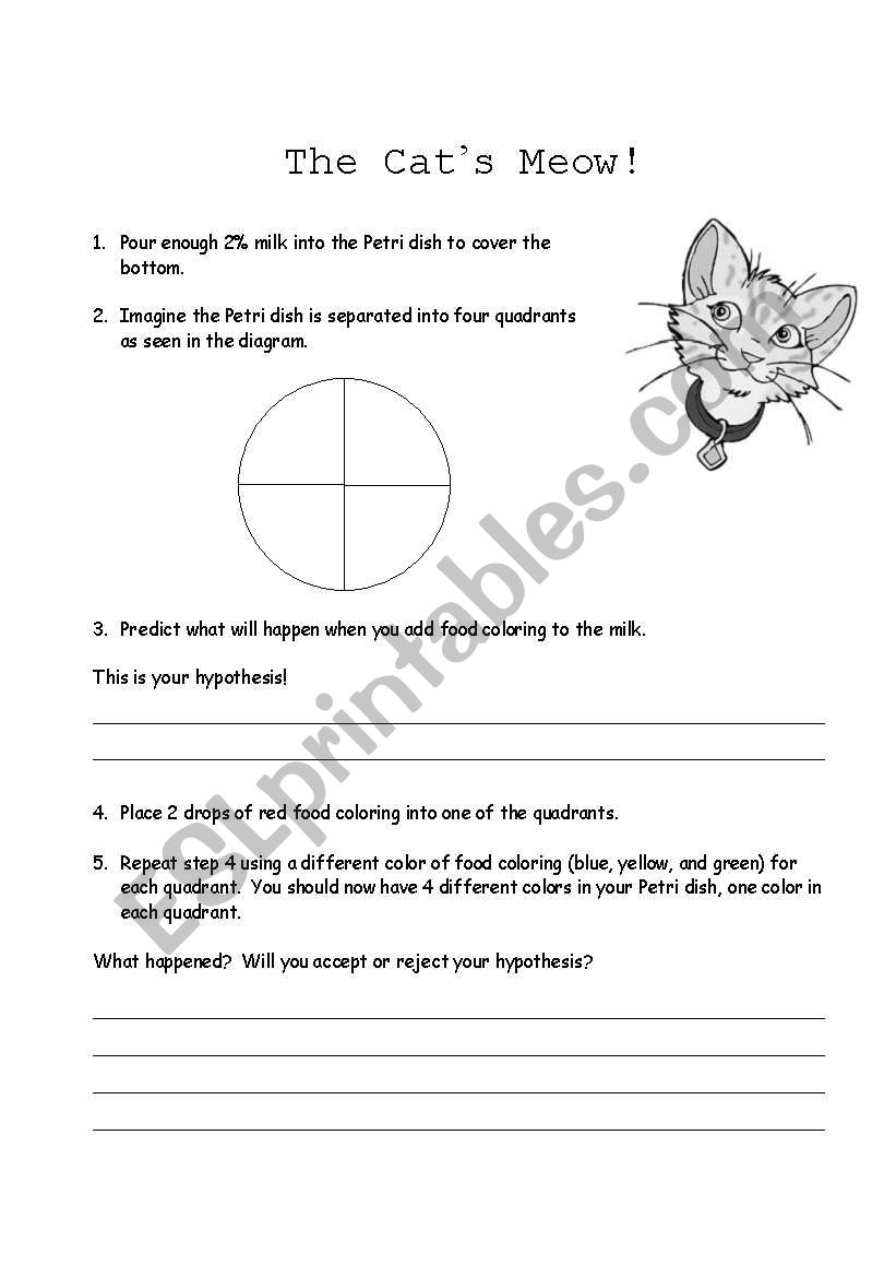 Cats Meow worksheet