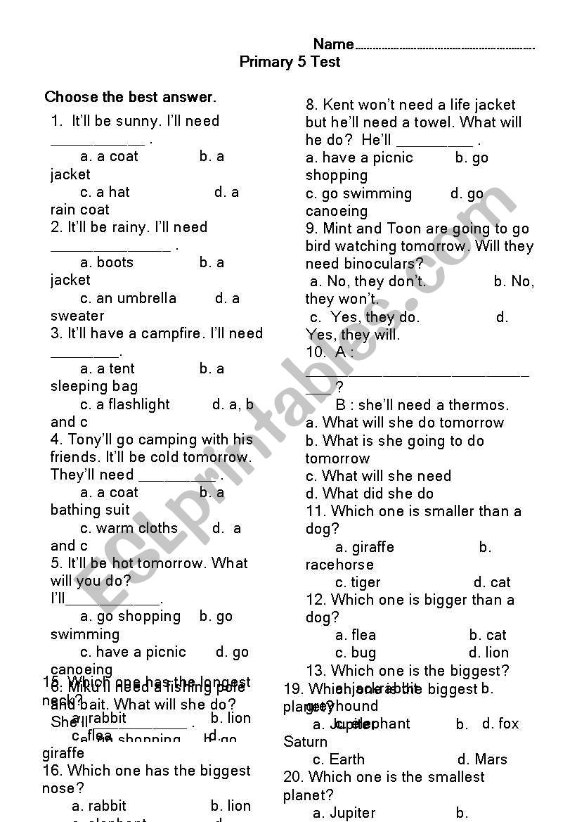 primary test worksheet