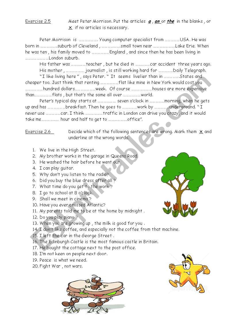 articles practice ( easy ) worksheet