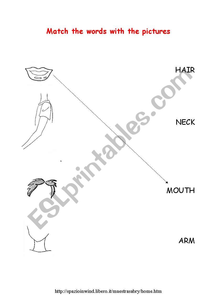 match the word. PARTS OF THE BODY