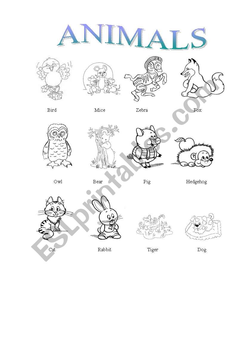 Animals, study and color worksheet