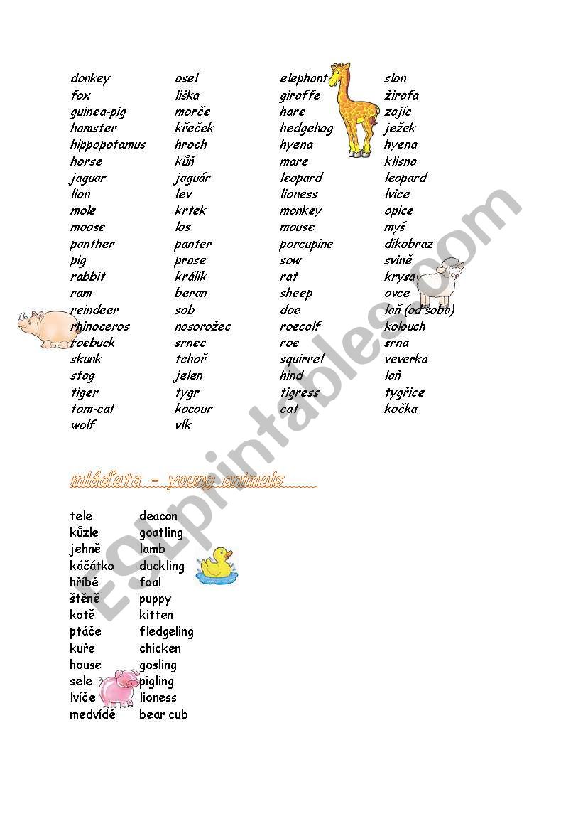 Animals, part2 worksheet