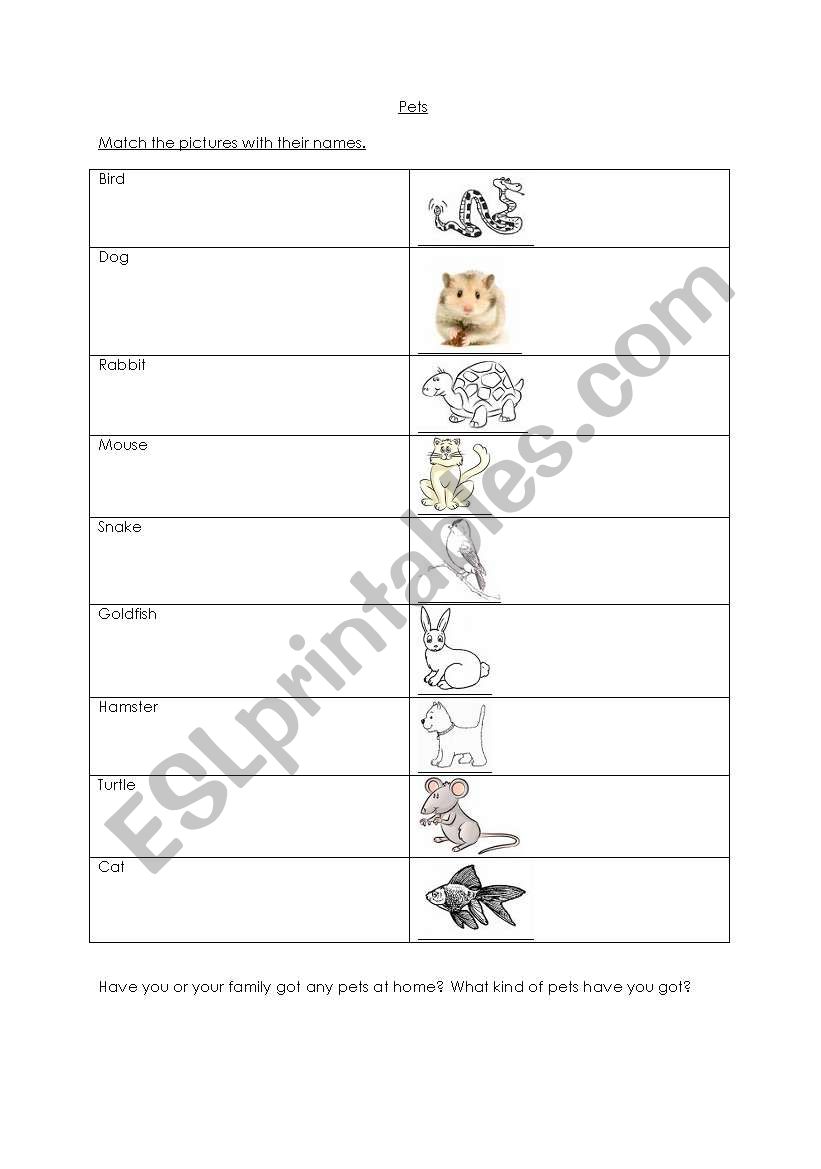 pets worksheet