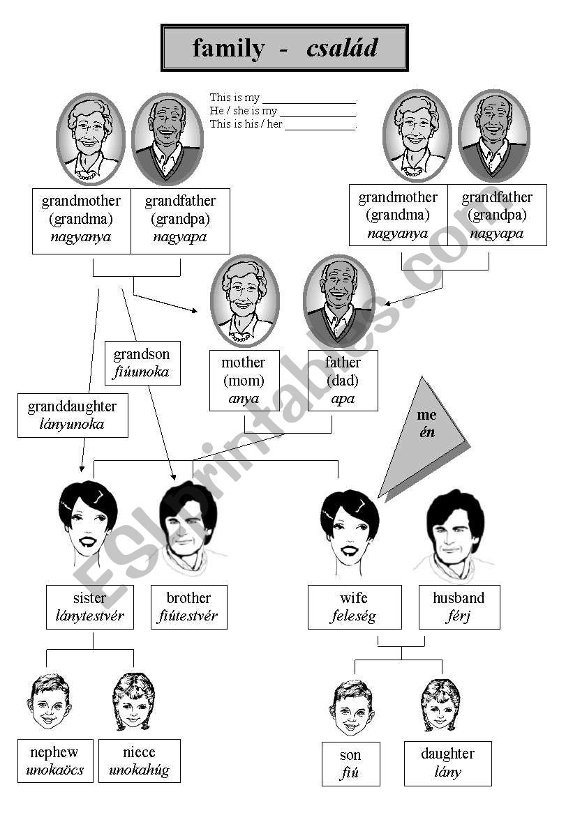 Basic family relationships / family tree