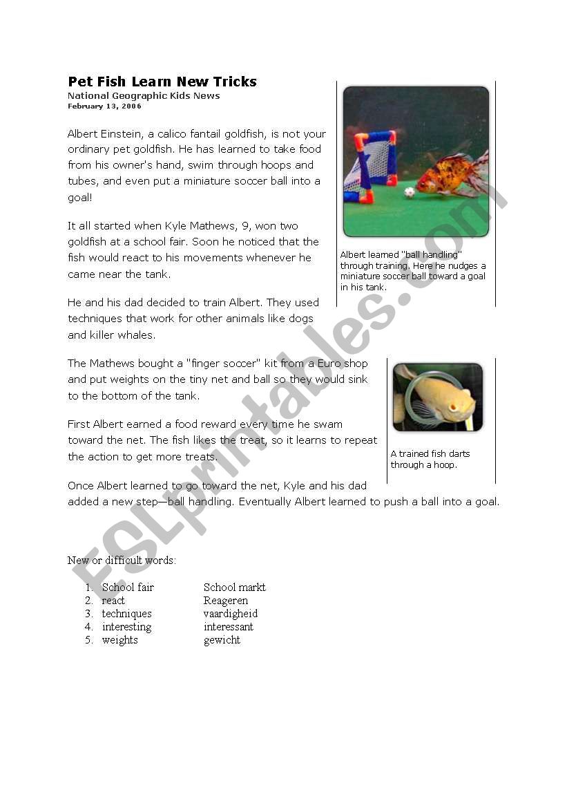 Pet fish learnt tricks worksheet