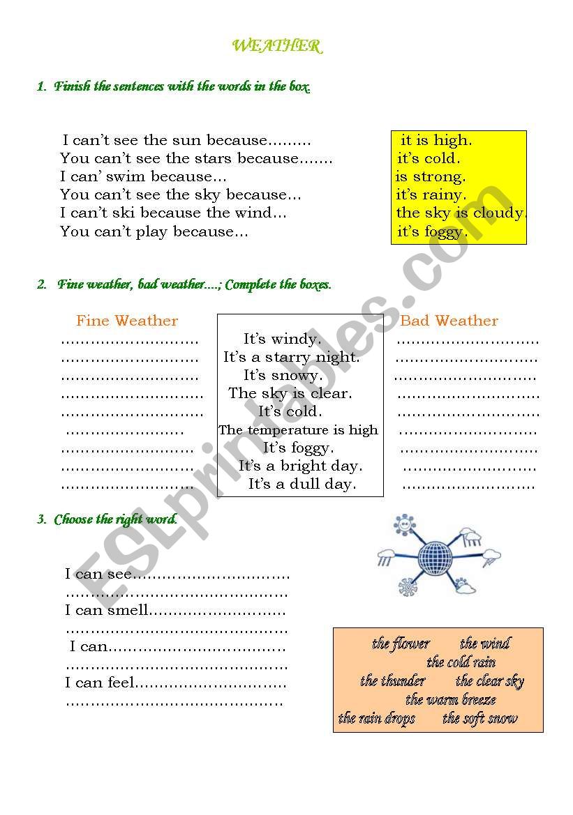 Weather worksheet