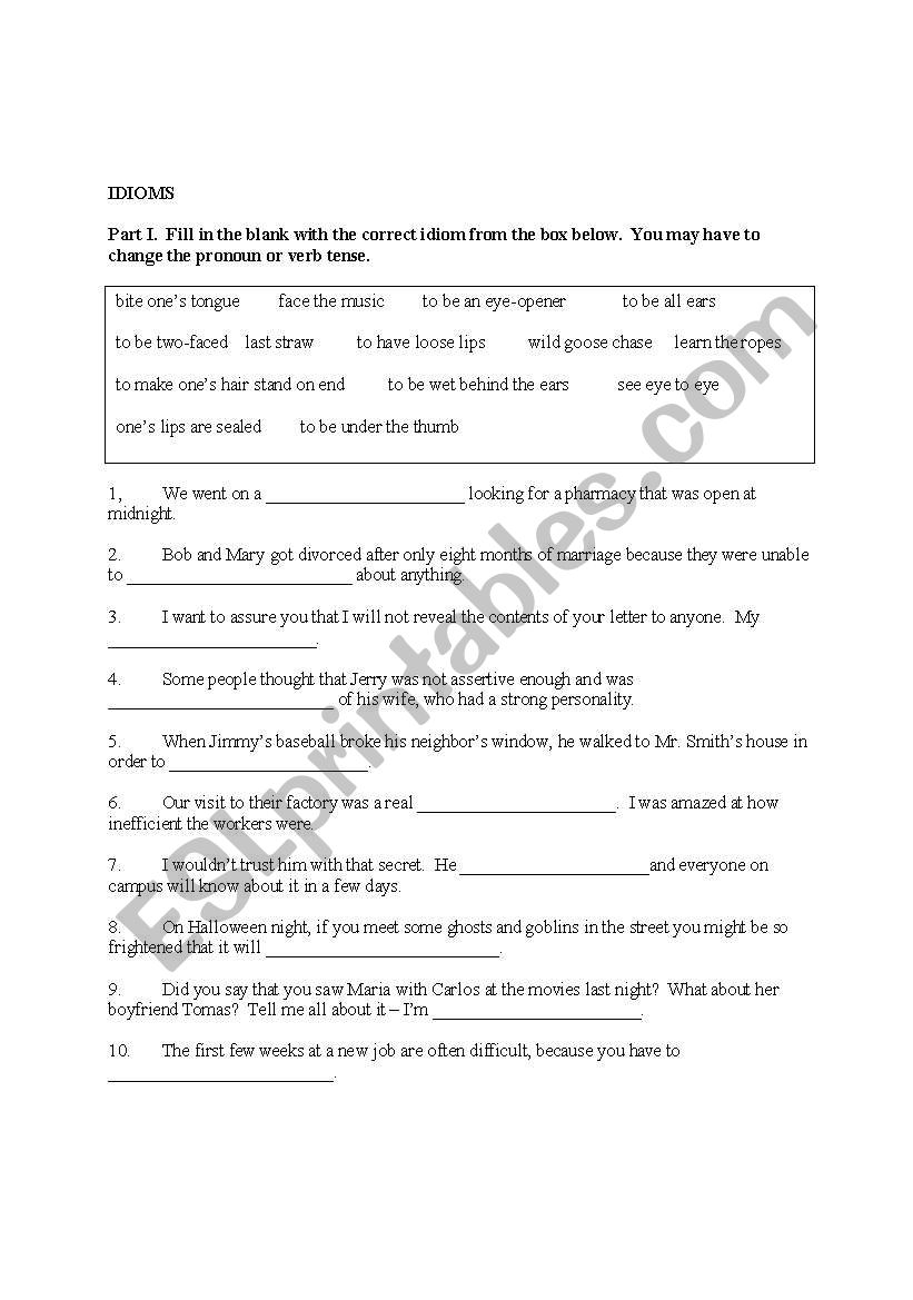 IDIOM EXERCISE worksheet