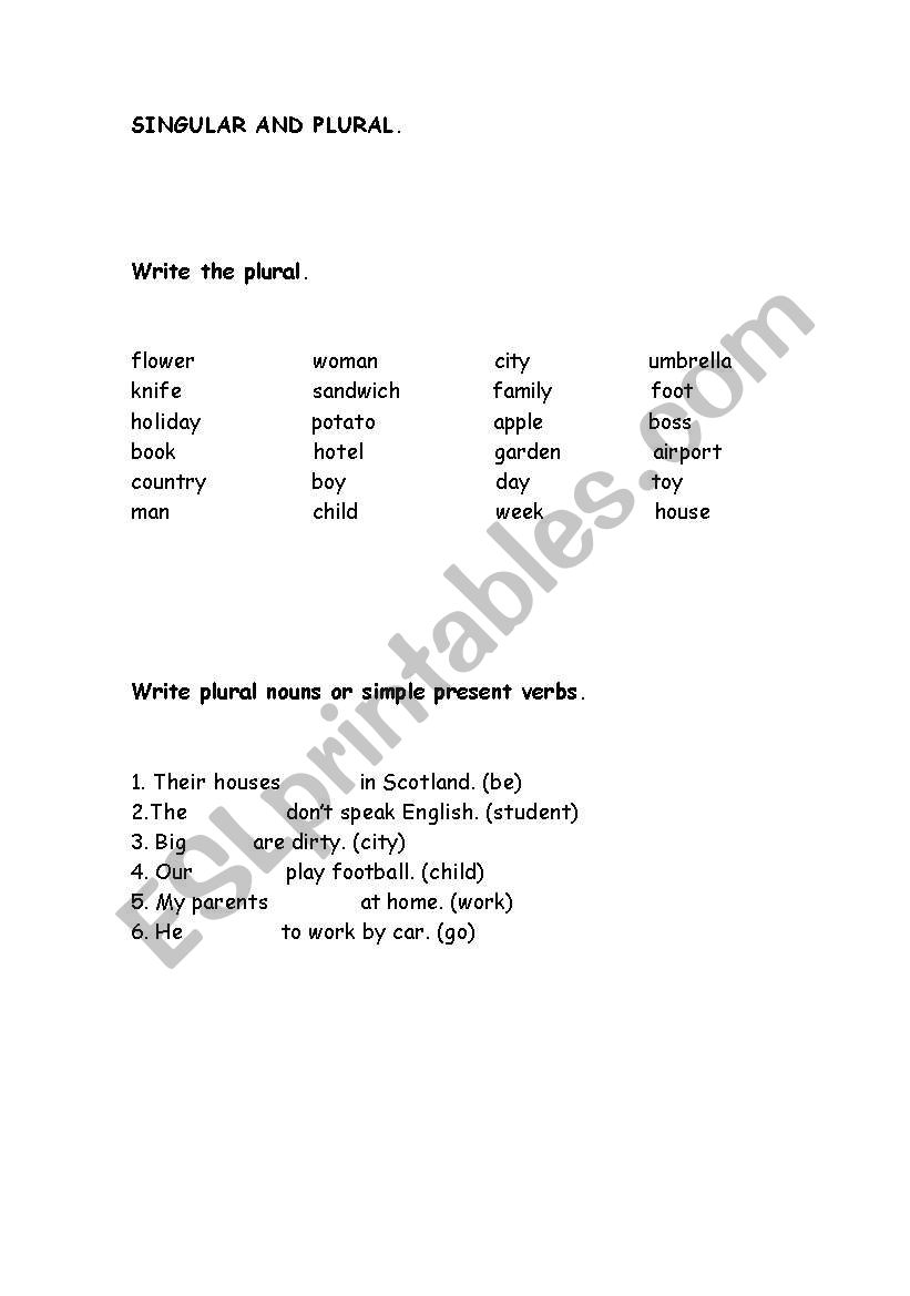 Singular and plural worksheet