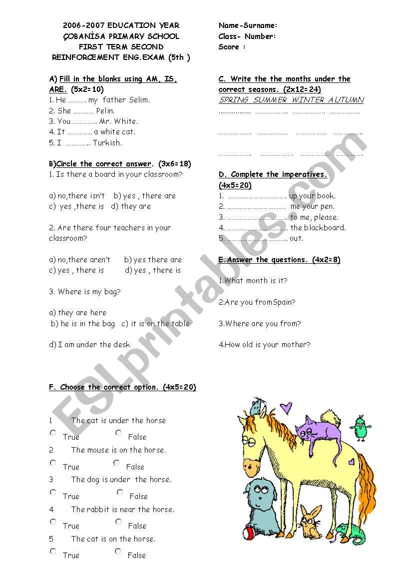 exam worksheet