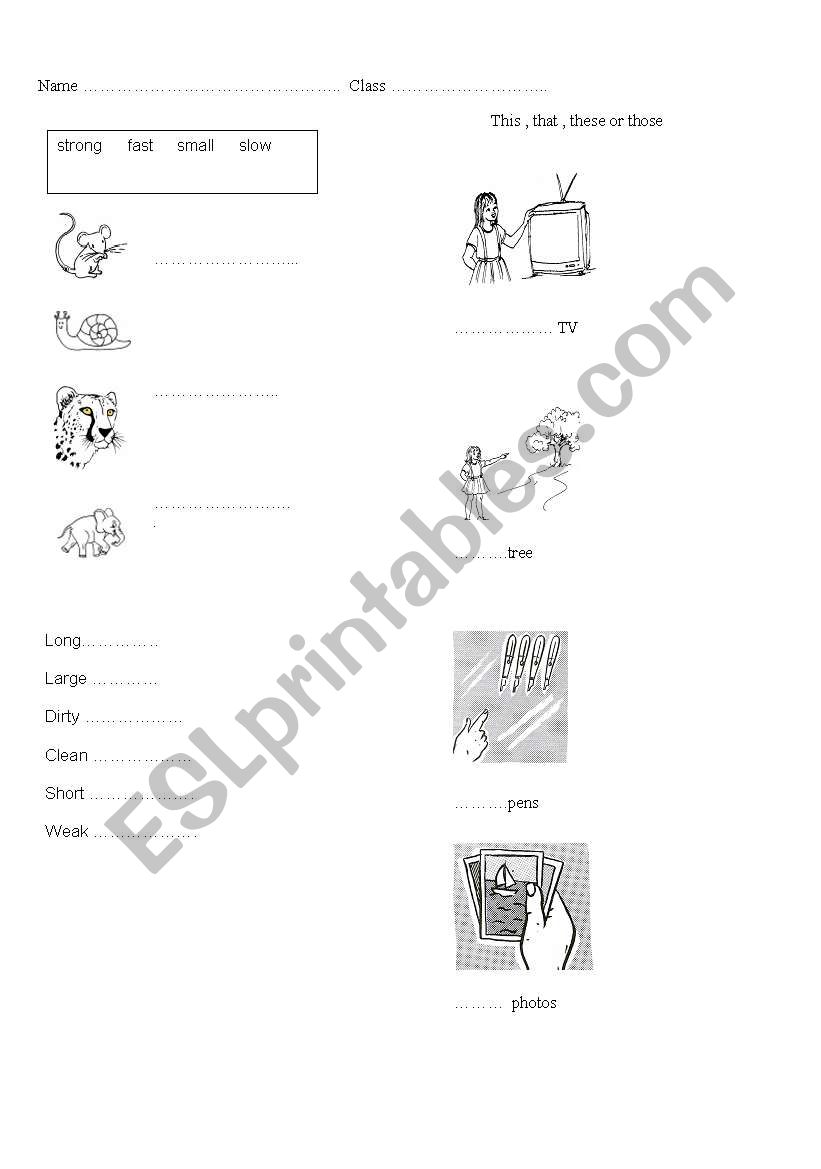 English worksheets: Extra test for Project 2 unit 2