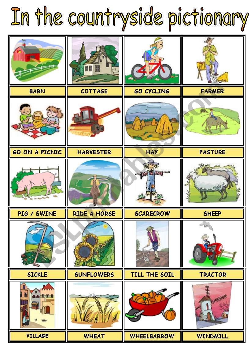 IN THE COUNTRYSIDE PICTURE DICTIONARY ESL Worksheet By Ironda