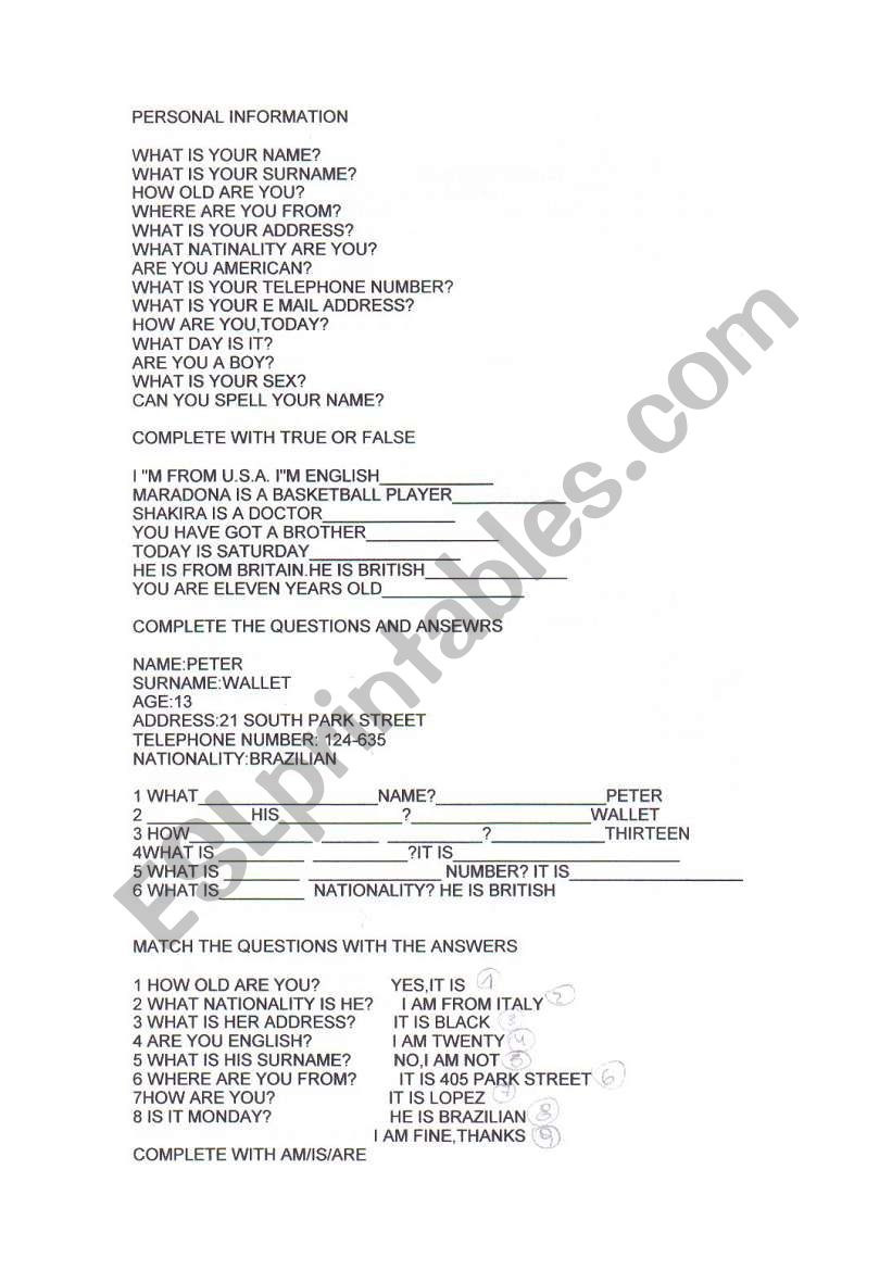 present simple worksheet