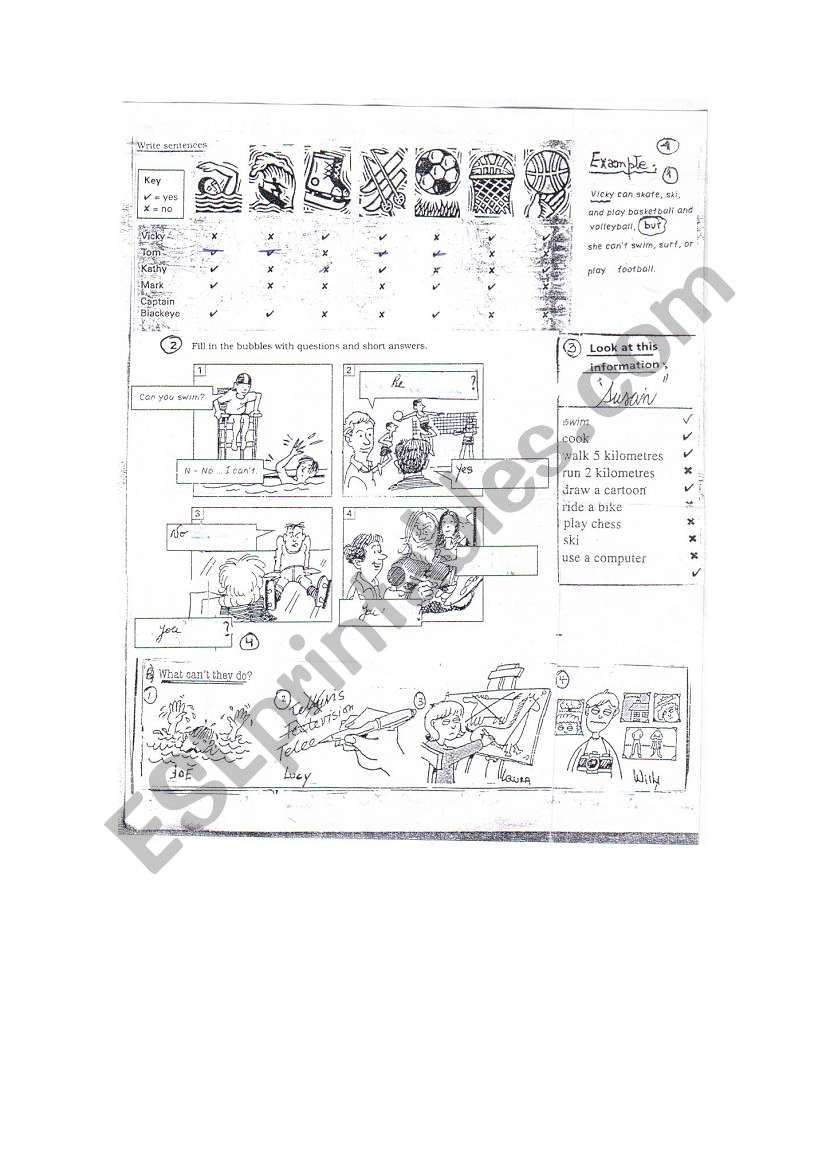 verb can worksheet