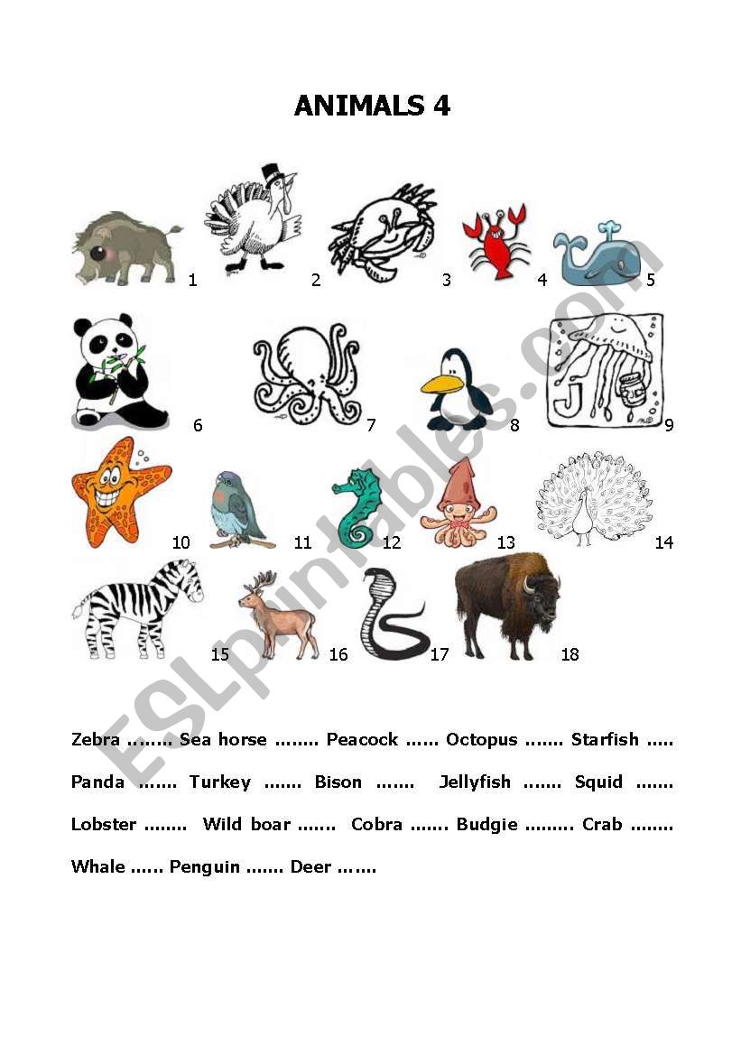 Build up your vocabulary - Animals 4