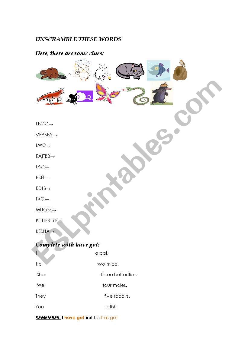 Animals and have got worksheet