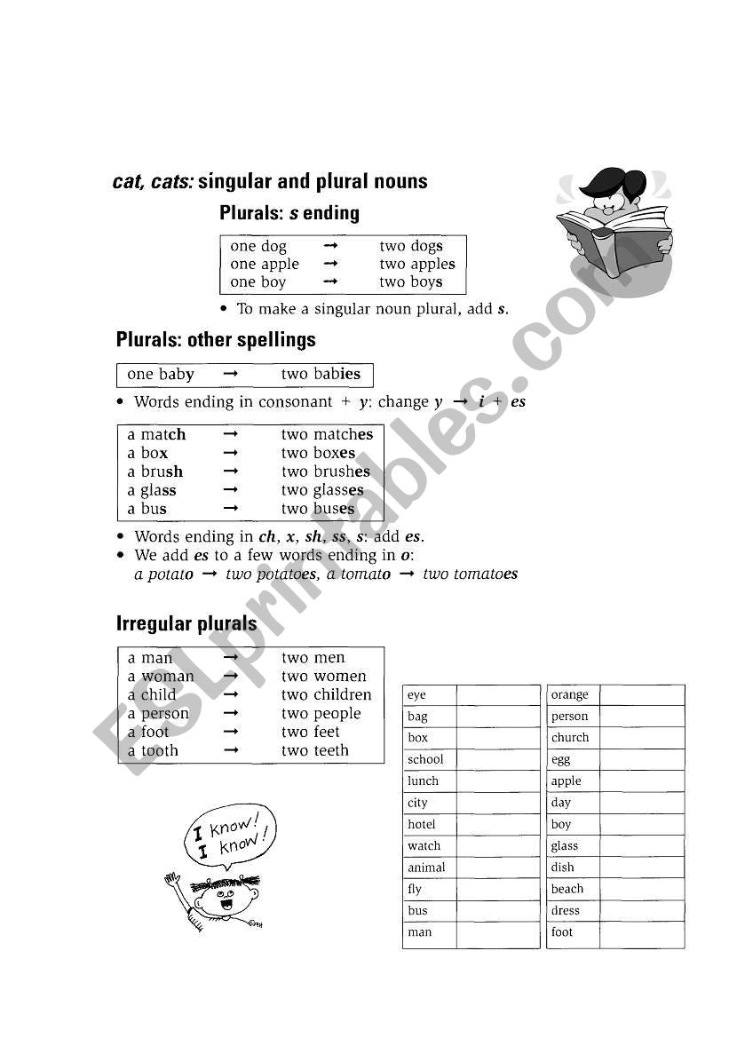 singular and plural worksheet