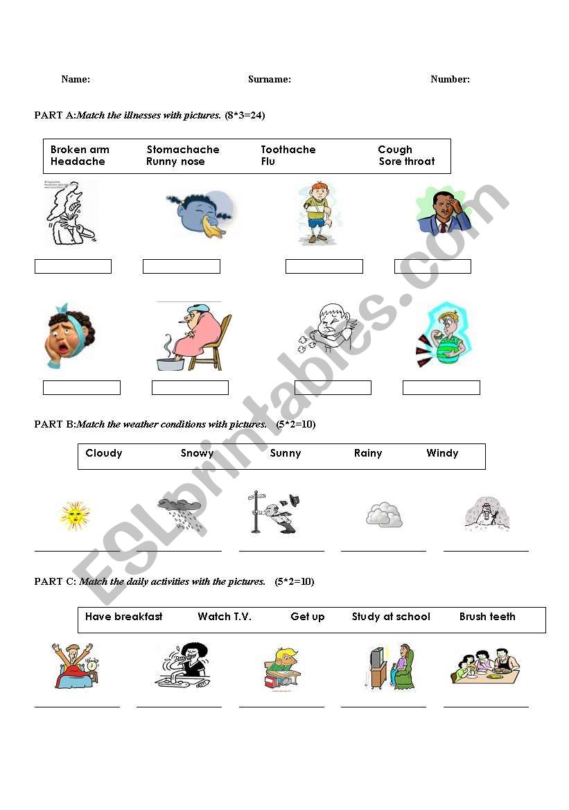 EXAM PAPER FOR BEGINNERS 1 worksheet