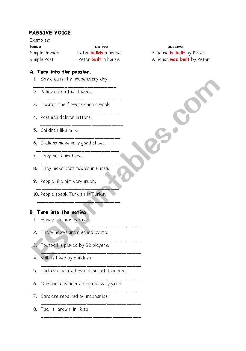 Passive voice  worksheet