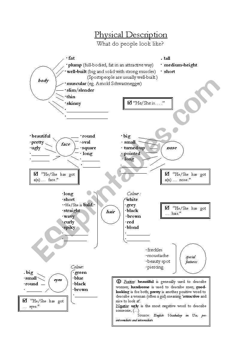 Physical description worksheet