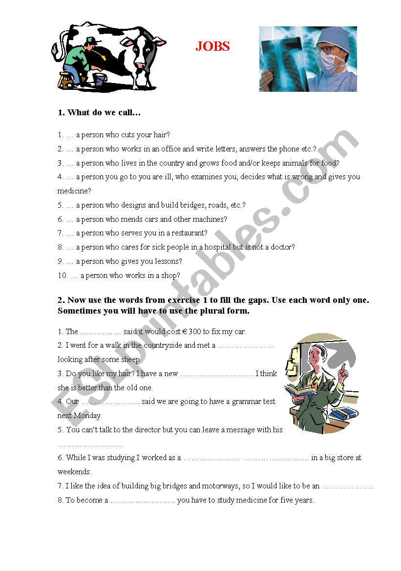 Jobs worksheet